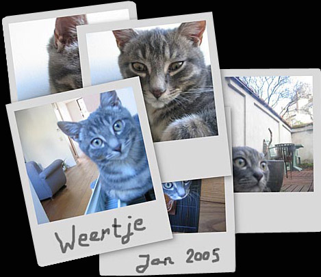 weertje11.jpg